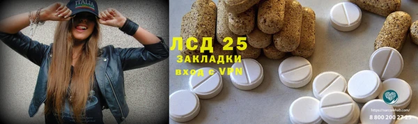 спайс Баксан