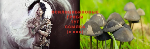 спиды Балабаново